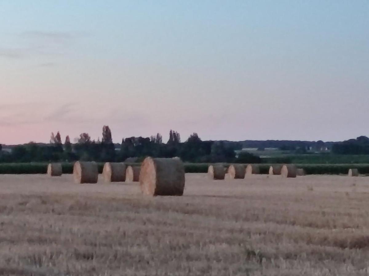 Gite Chez Jeannot Azay-le-Ferron Luaran gambar