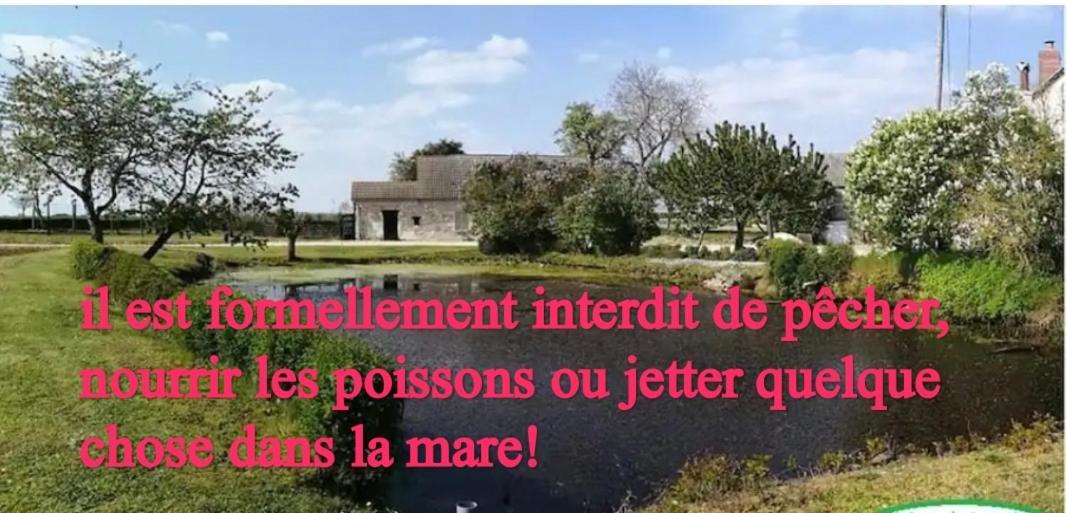 Gite Chez Jeannot Azay-le-Ferron Luaran gambar